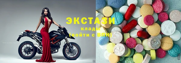 гашик Алексин