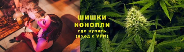 прущая мука Арсеньев