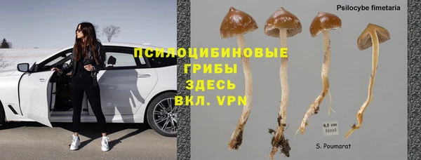 прущая мука Арсеньев